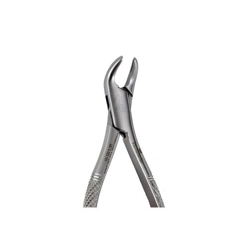 151S Lower Premolars Extration for Kids image 0