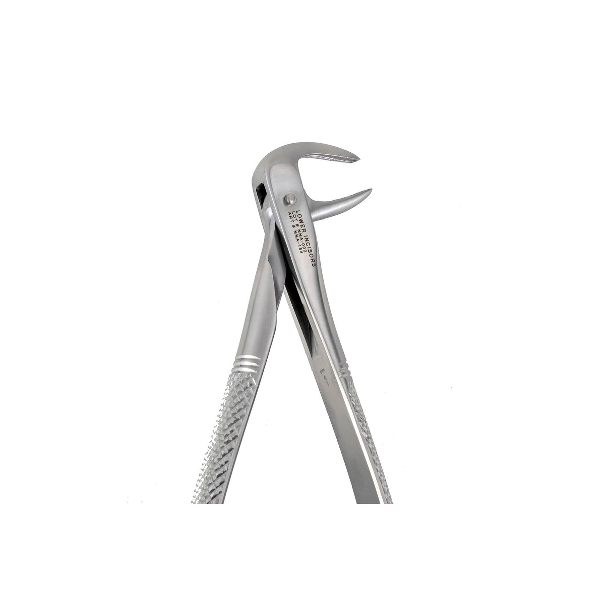 74N Lower Incissors Extraction Forceps image 0