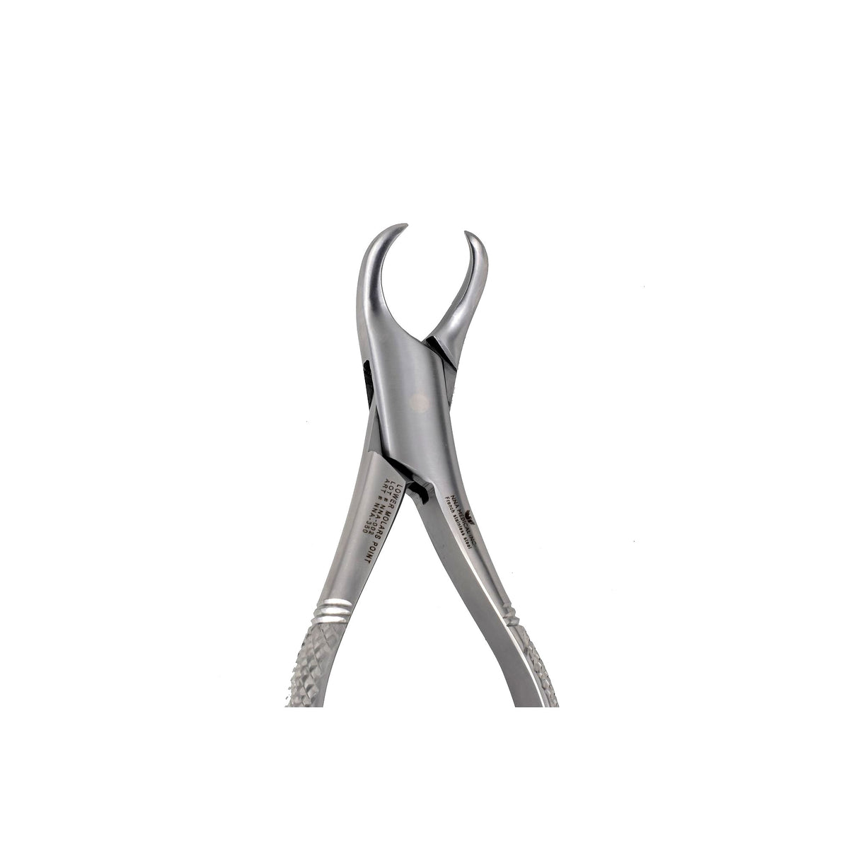 16S Pedo Lower Molars Extraction image 0