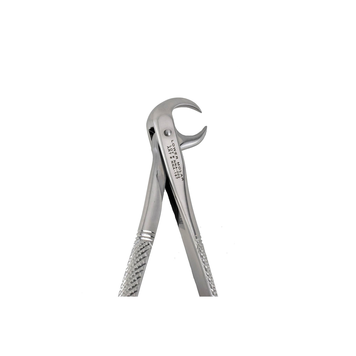 86A Cow Horn Lower Morlas Extraction Forceps image 0