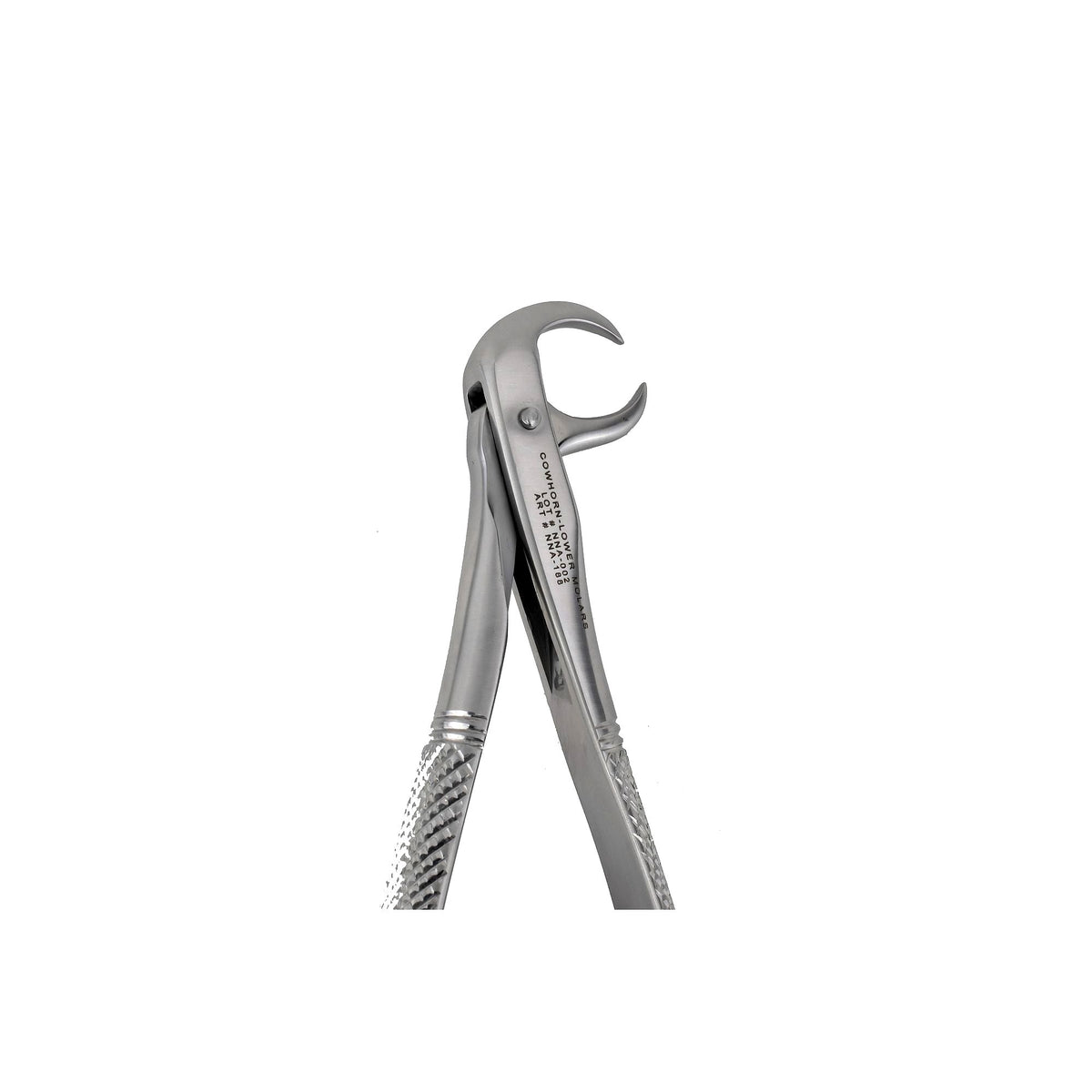 86C Cow Horn Lower Molars Extraction Forceps image 0