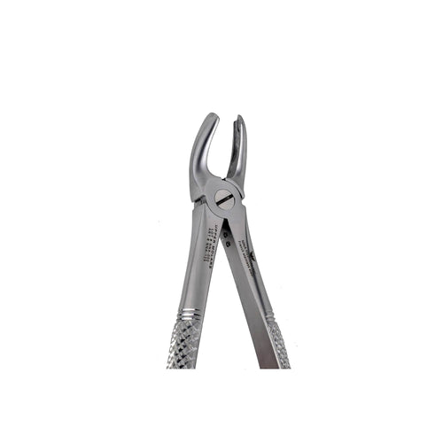 18A Universal Upper Molars Extraction image 0