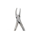 69 Fragments & Upper &Lower Roots image 0