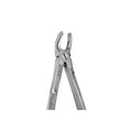 32 Lower Molars image 0