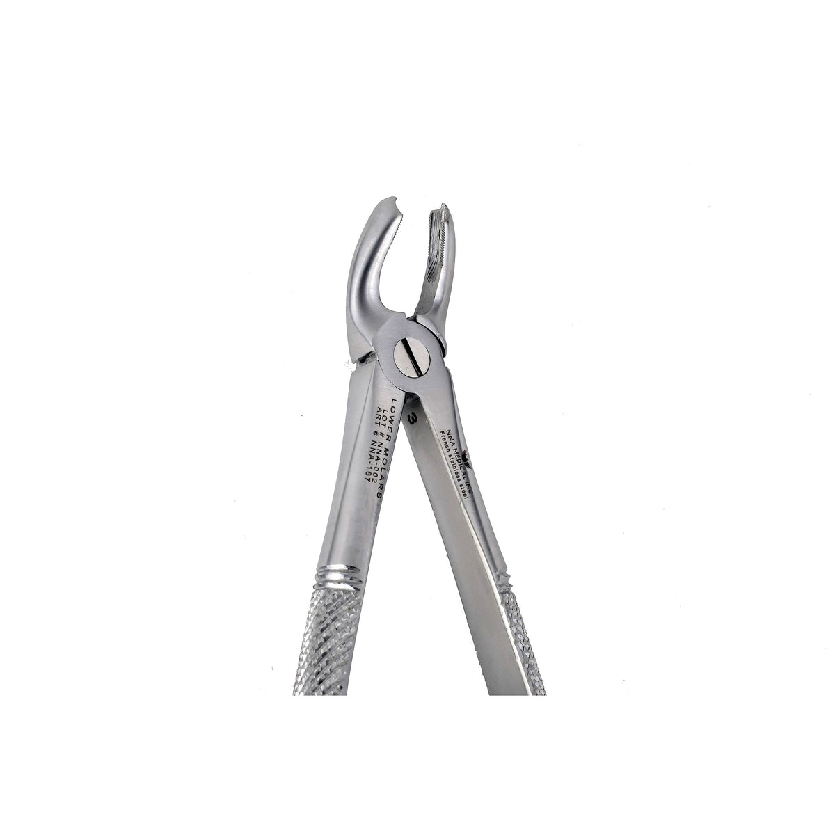 32 Lower Molars image 0