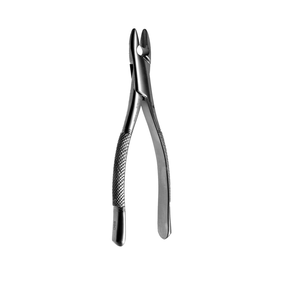 99C Upper Premolars & Incisors image 0