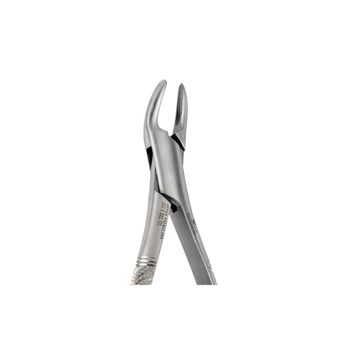 150 Upper Premolars Incisors Root Canines image 0