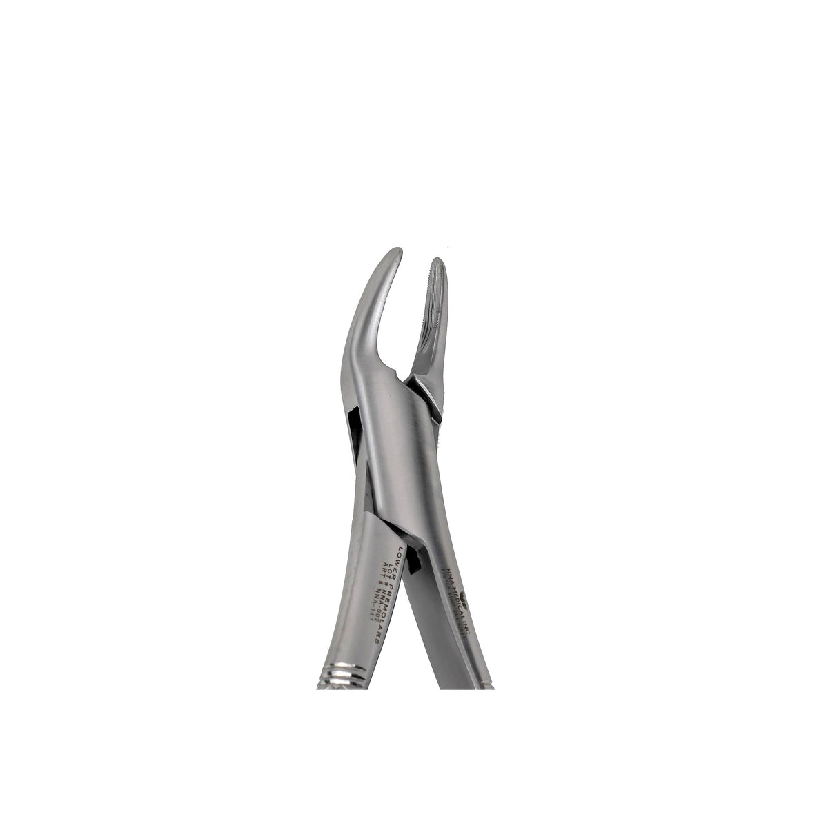 151 Lower incisors ,Canines PreMolars image 0