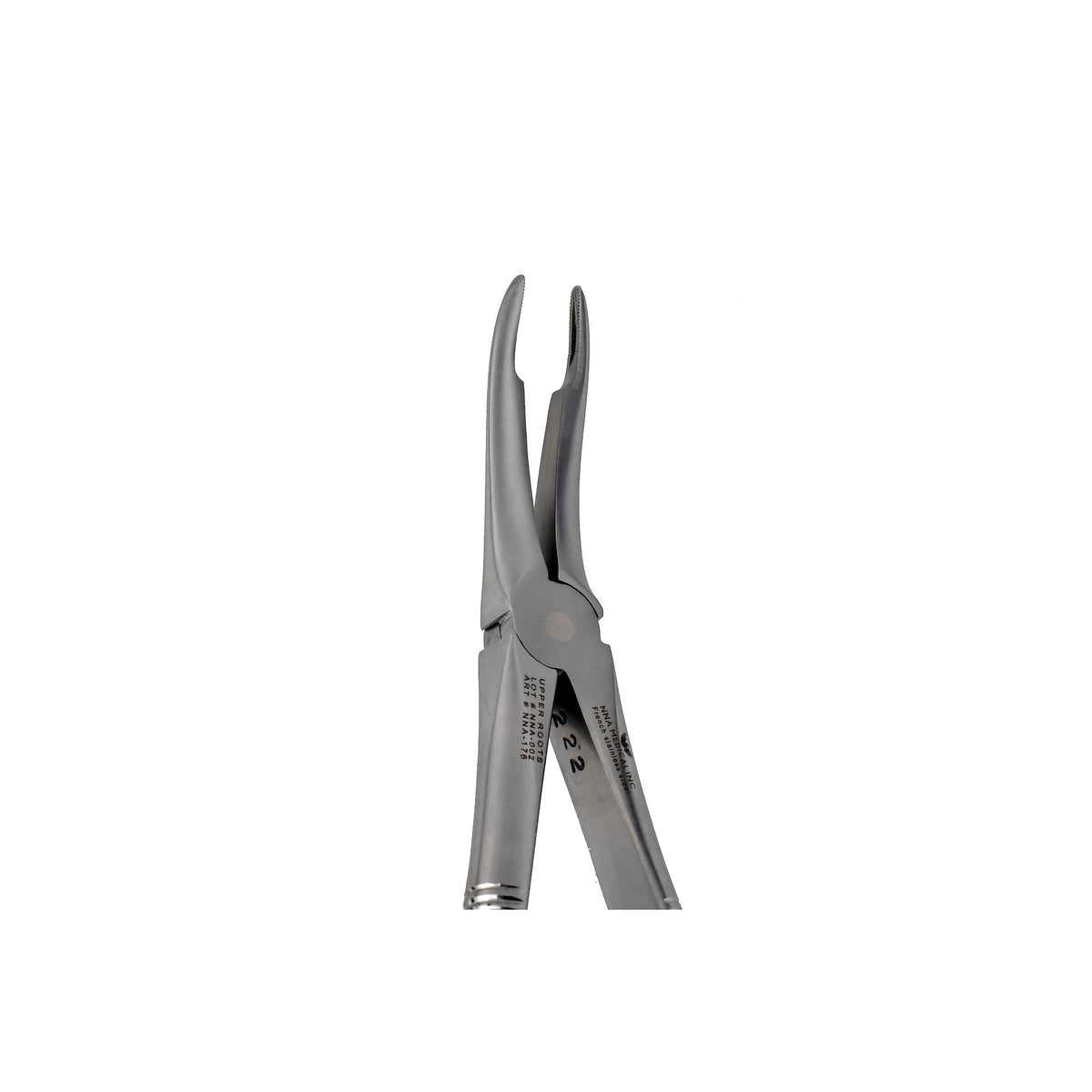 49 Upper Roots Extraction image 0