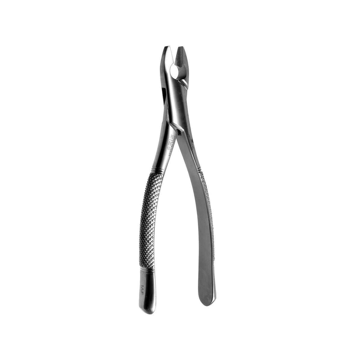 1AF Upper Anterior Extraction Forceps image 0