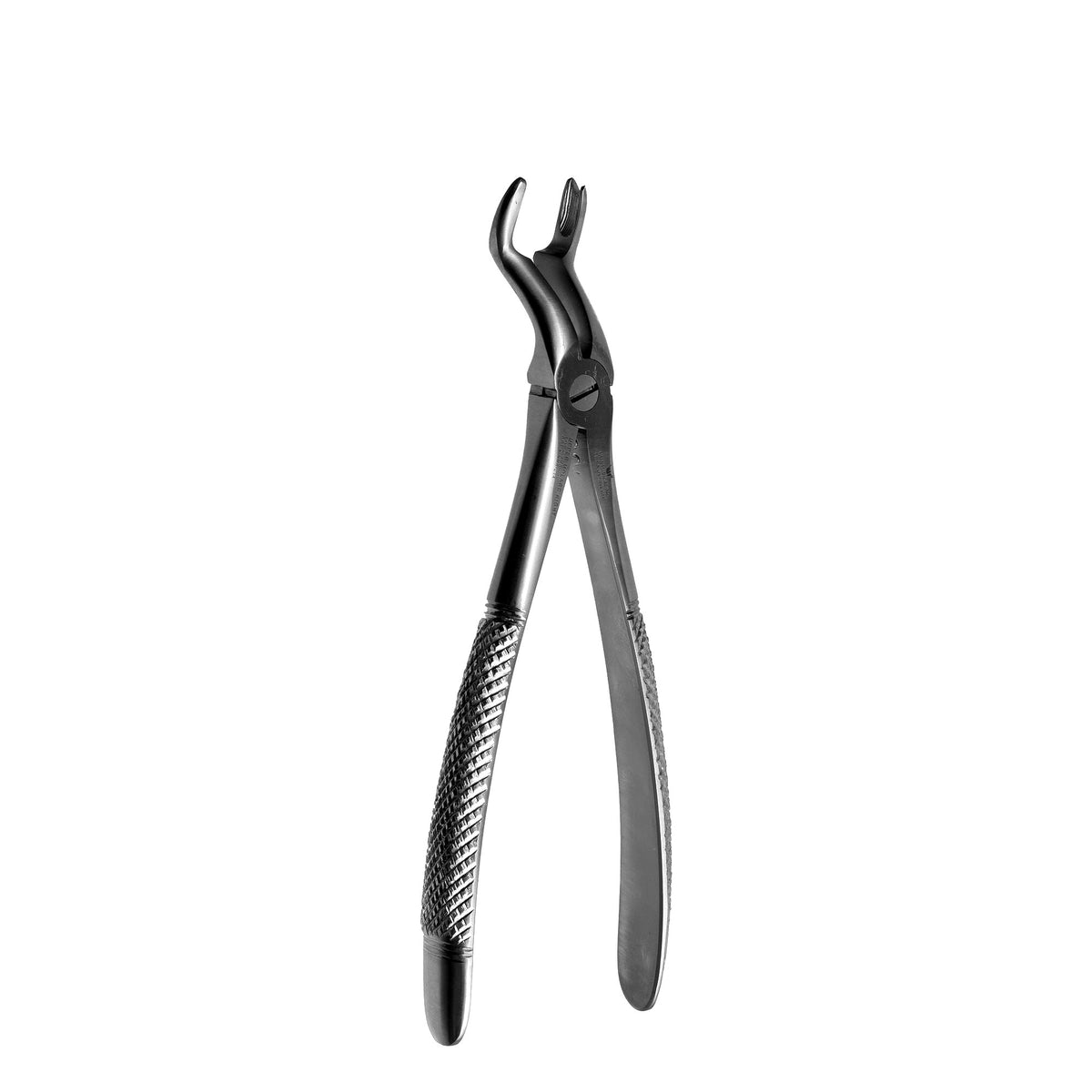 F12 Right Upper Molars image 0