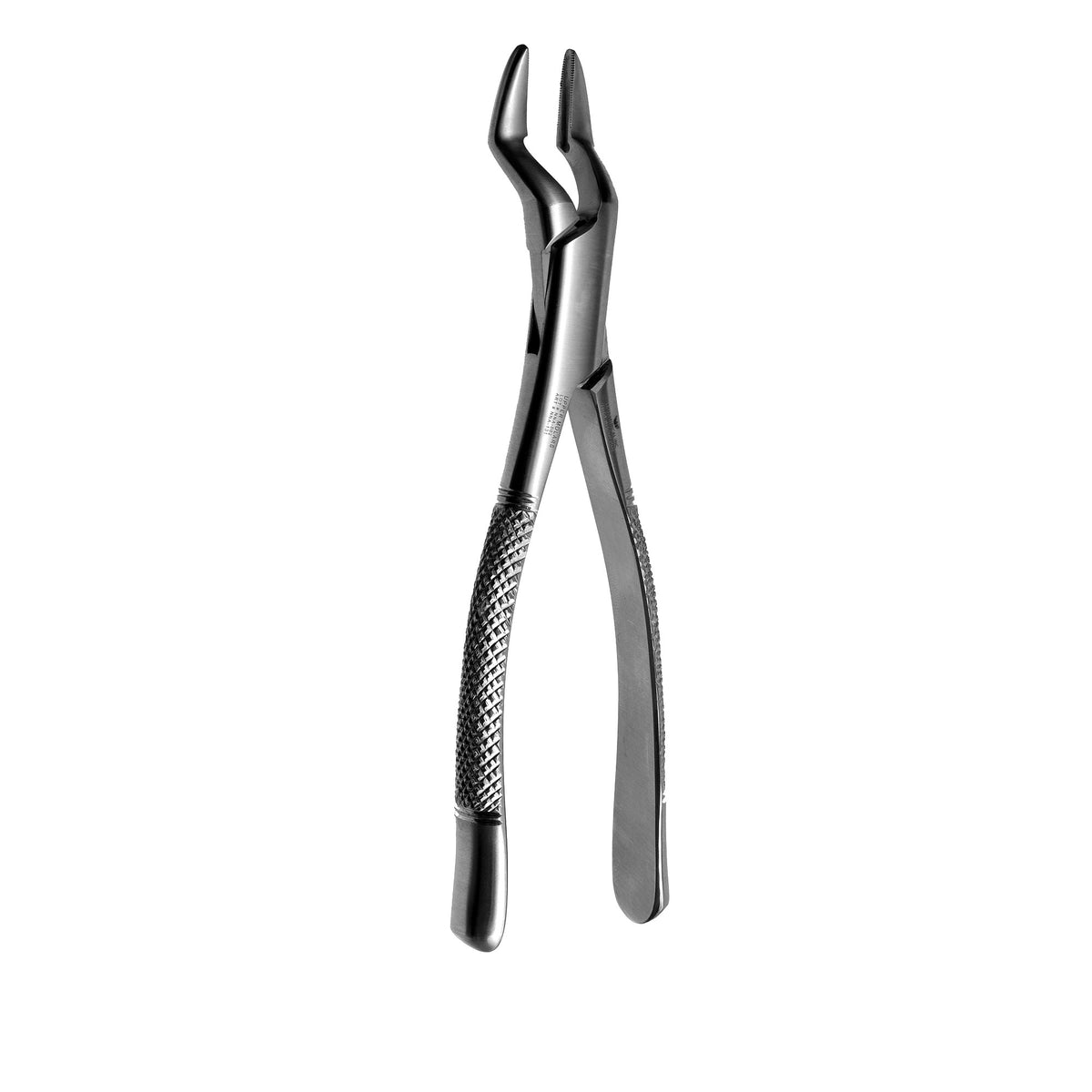 32 Upper Molars & Premolars image 0