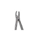 18 Upper Molar Extraction image 0