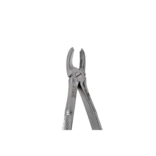 18 Upper Molar Extraction image 0