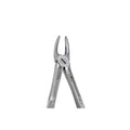 30 Upper Roots Extraction image 0
