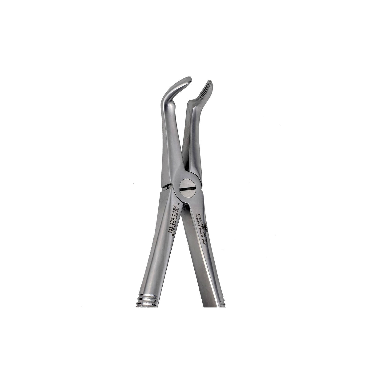 45 For Lower Roots Extraction image 0