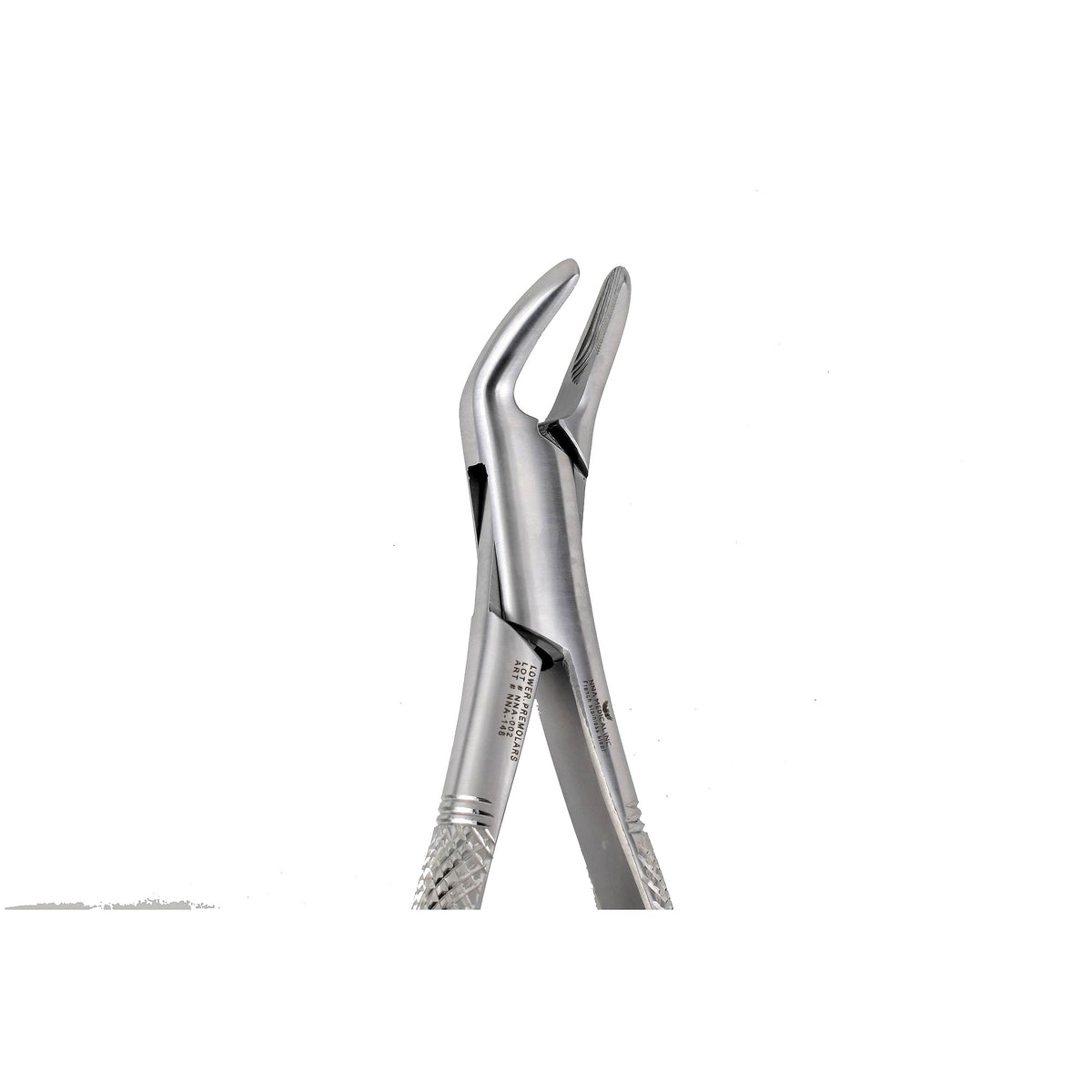 151A Upper incisors ,Canines Premolars image 0