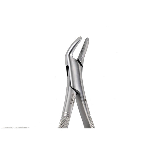 151A Upper incisors ,Canines Premolars image 0