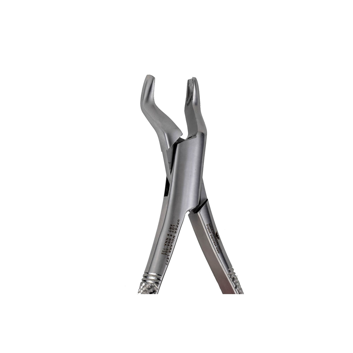 53L Left 1st and 2nd Upper Molars pointed Beak image 0