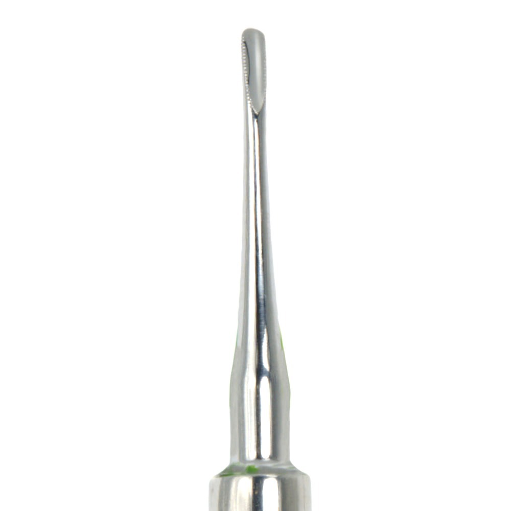81E Dental Elevator image 0