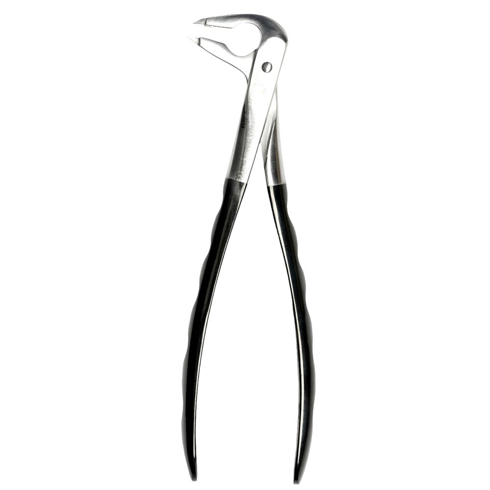 36 Atraumair Forceps Lower Incisors image 0