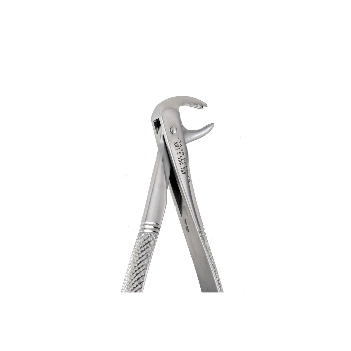 169 Lower Canines Extraction Forceps image 0