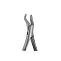 53R Right 1st and 2nd Upper Molars pointed Beak image 0