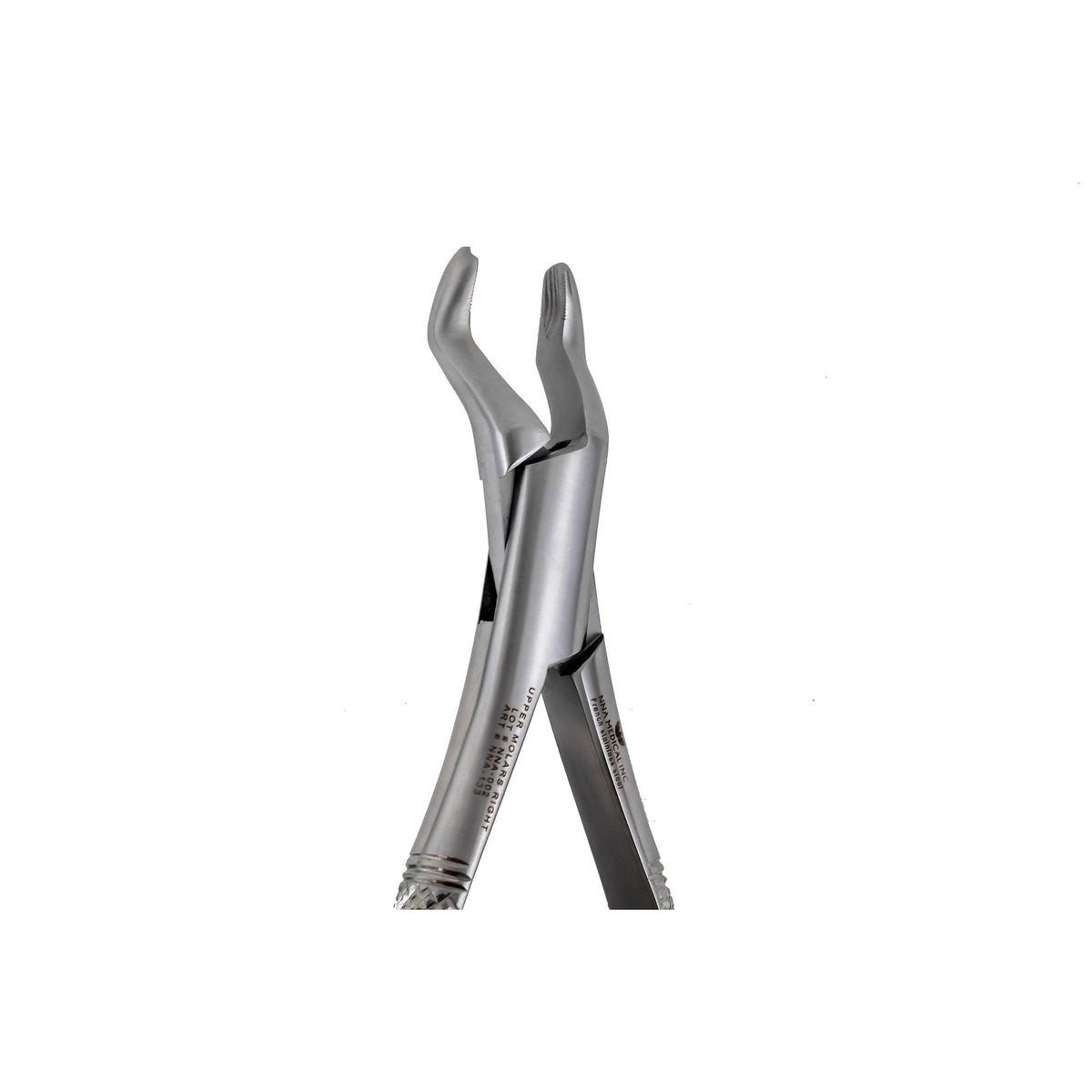 53R Right 1st and 2nd Upper Molars pointed Beak image 0