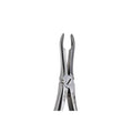 44 Upper Roots Extraction image 0