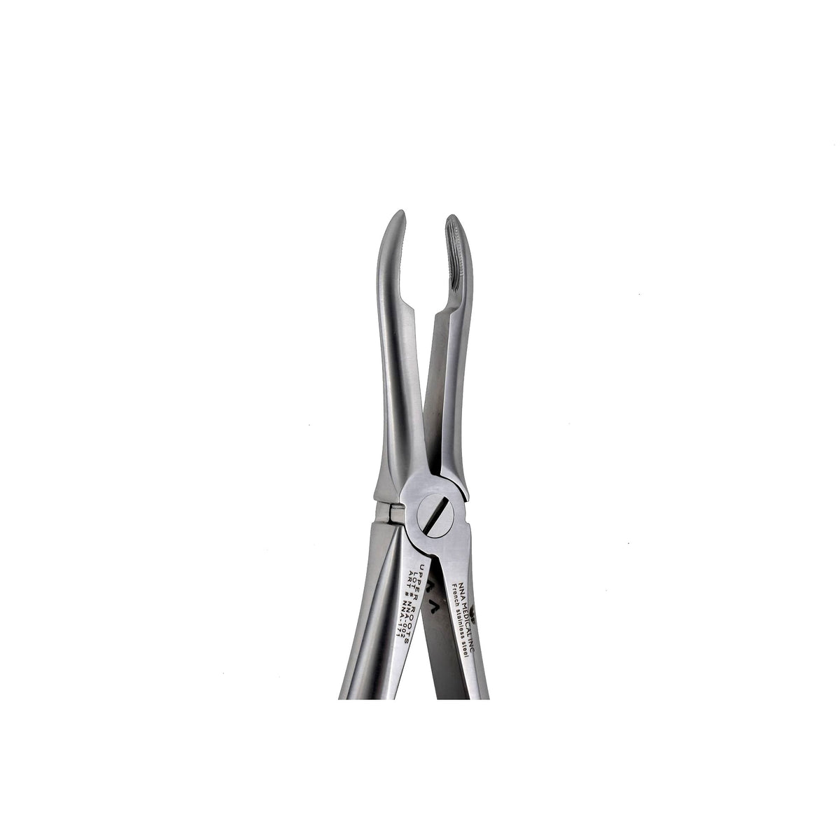44 Upper Roots Extraction image 0