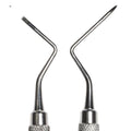 Root Tip Heidbrink 13/14 image 0