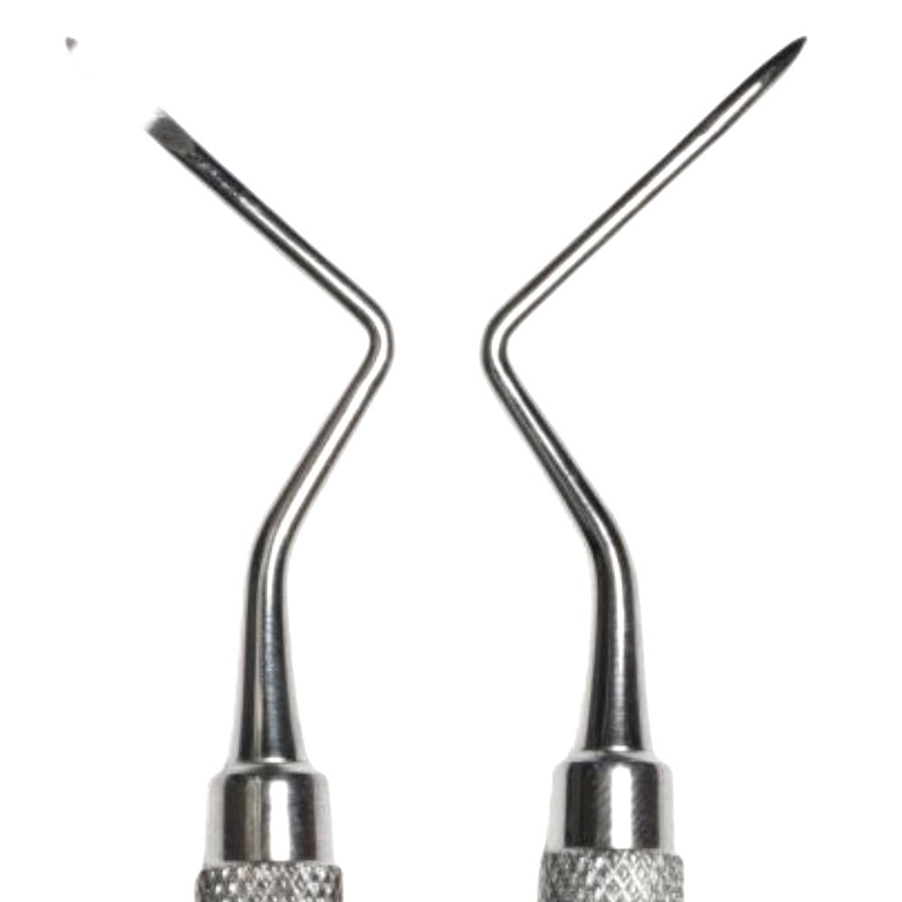 Root Tip Heidbrink 13/14 image 0