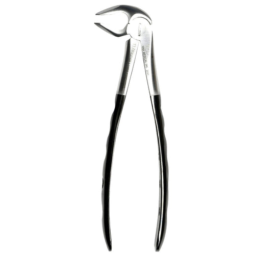 13 Atraumair Forceps Lower Premolars image 0