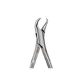 23 Lower Primary Molars CowHorn Beak image 0