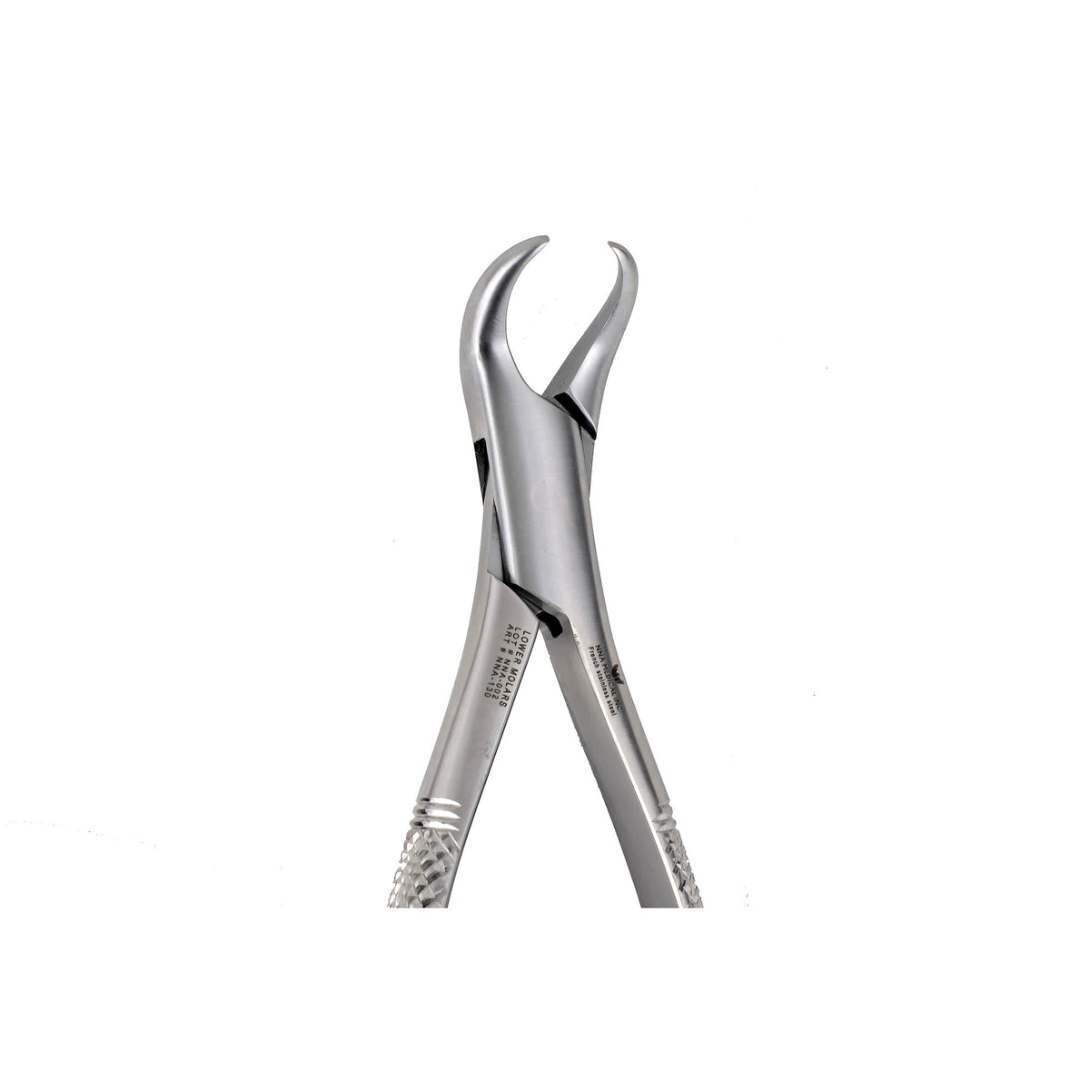 23 Lower Primary Molars CowHorn Beak image 0