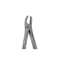 17 Upper Molars Right image 0