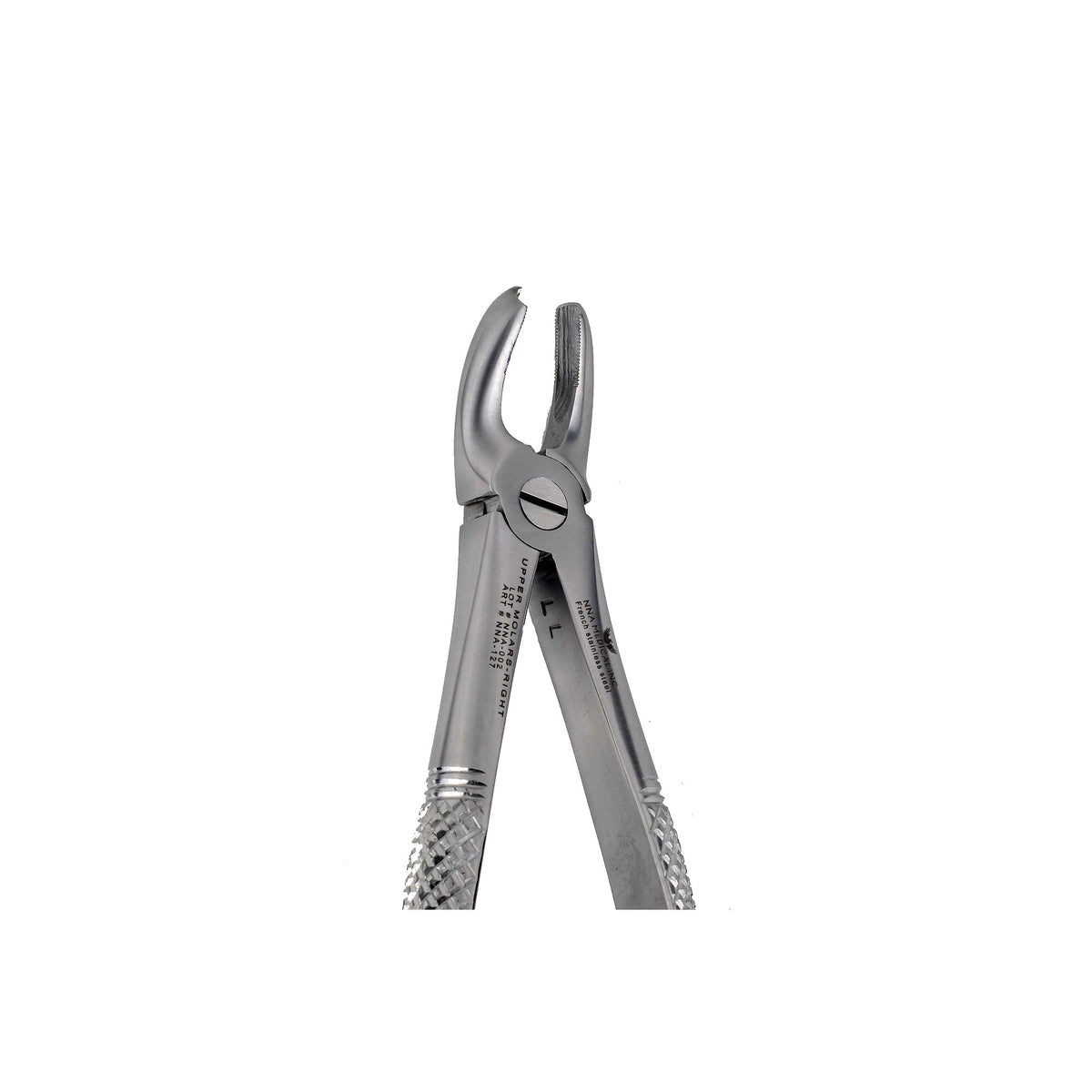 17 Upper Molars Right image 0