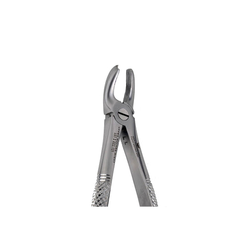 17 Upper Molars Right image 0