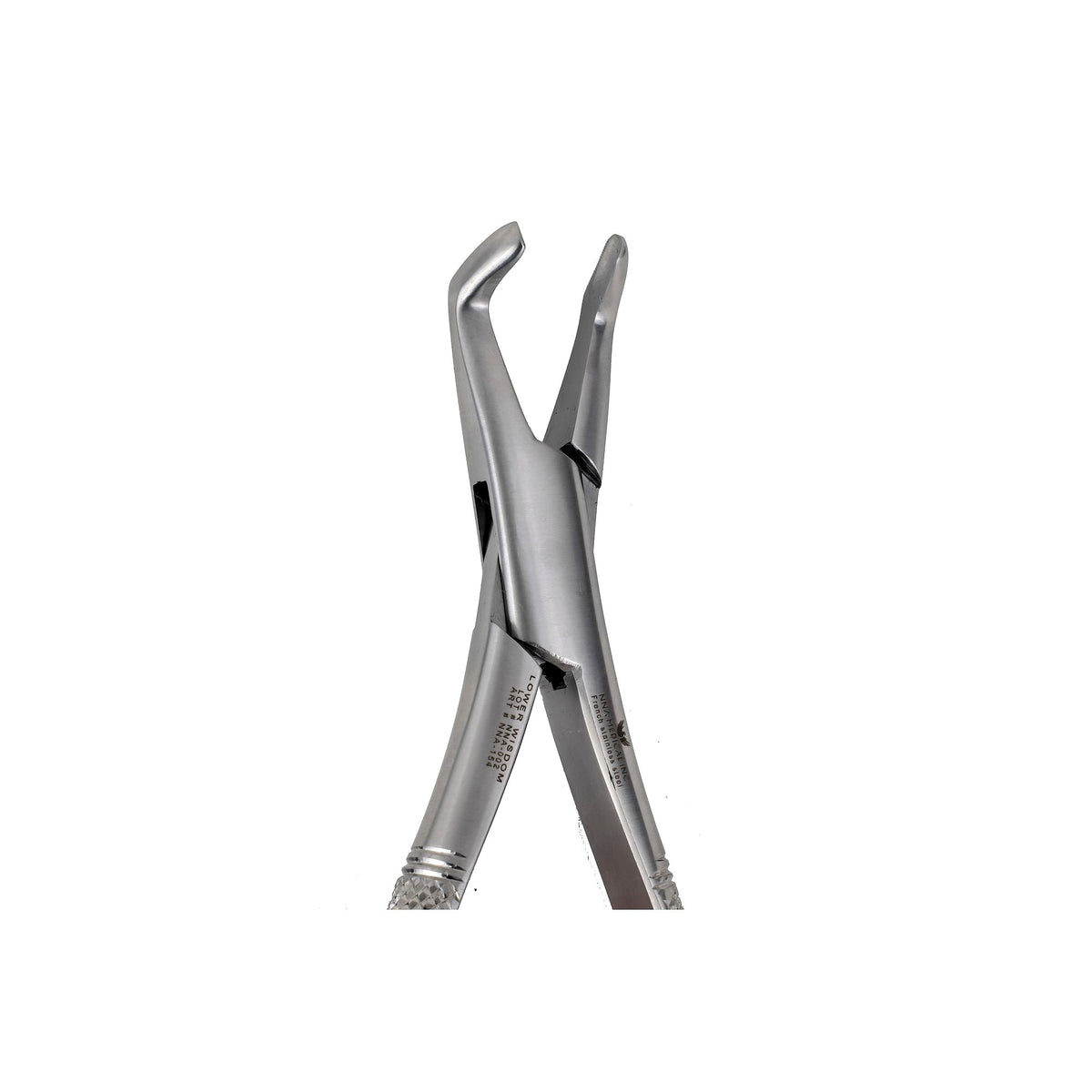 222 3rd Lower Molars Extraction image 0