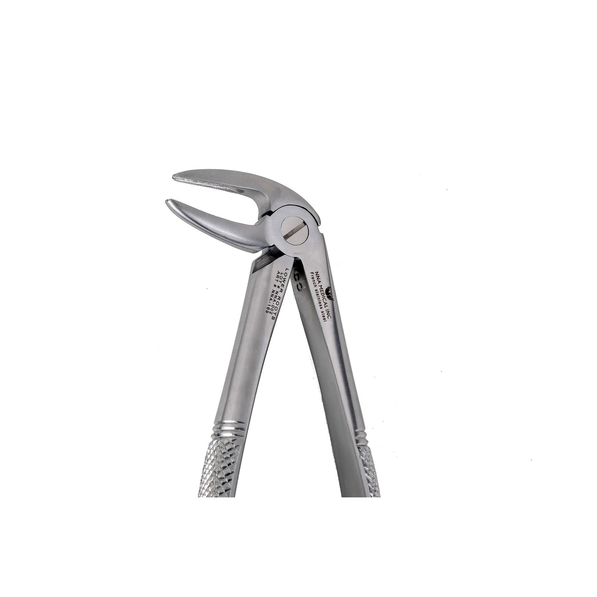 33M Lower Roots Long Beak image 0