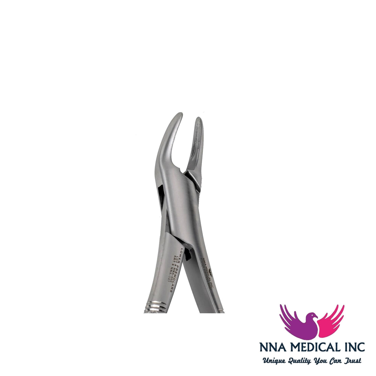 NNA MEDICAL - 151 Lower incisors ,Canines PreMolars