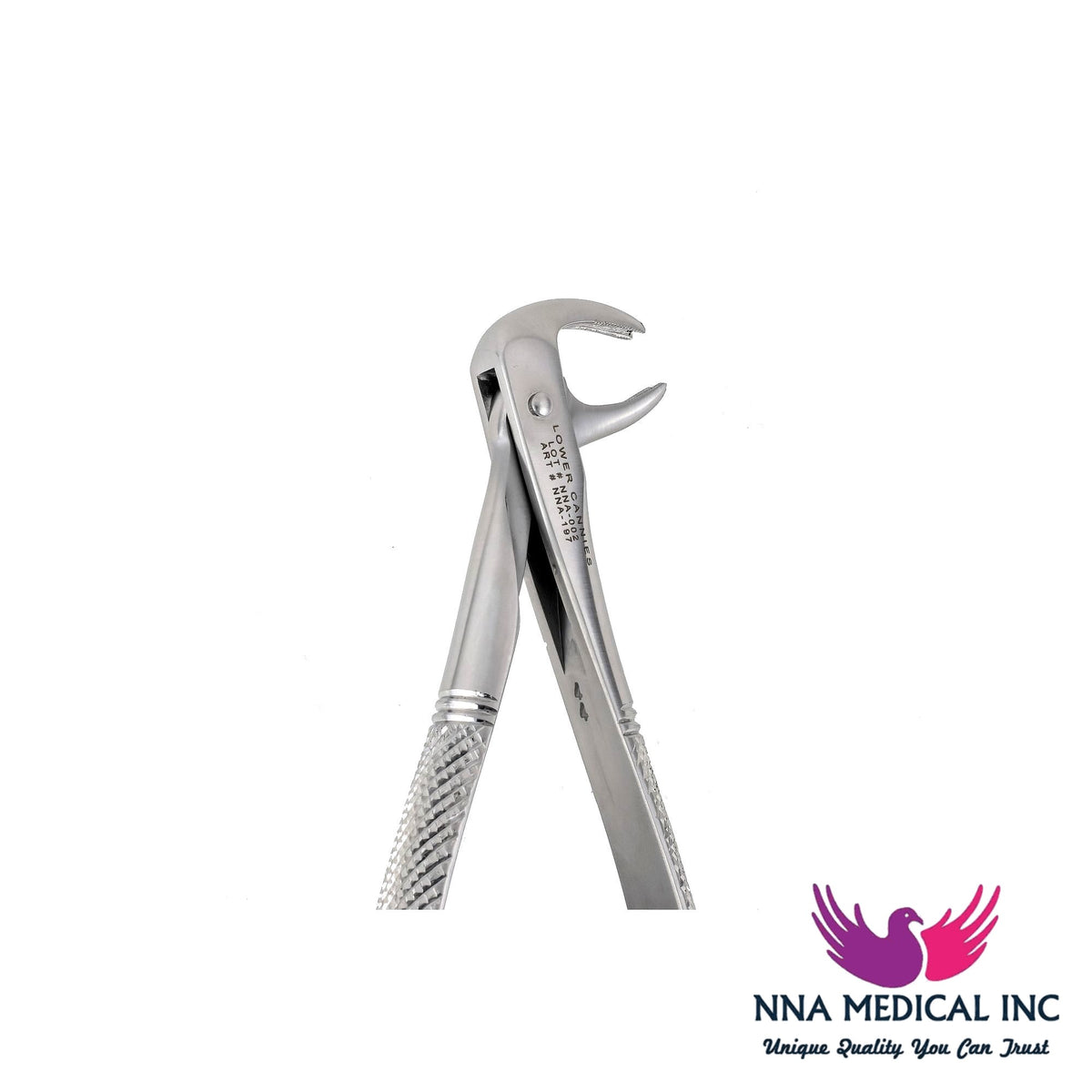 NNA MEDICAL - 169 Lower Canines Extraction Forceps