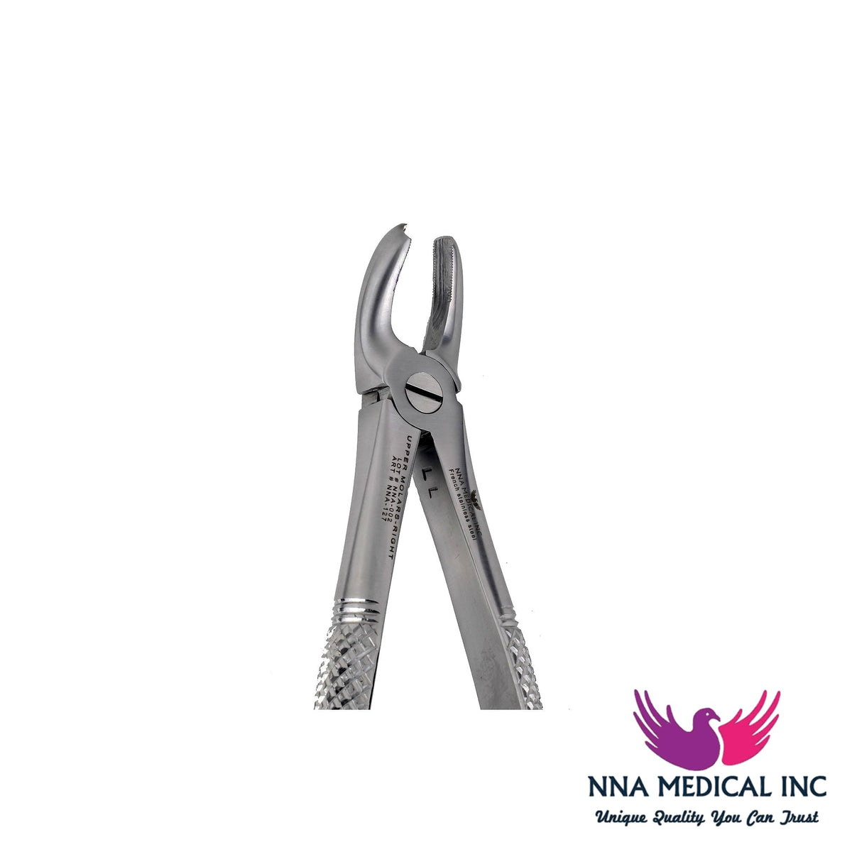 NNA MEDICAL - 17 Upper Molars Right
