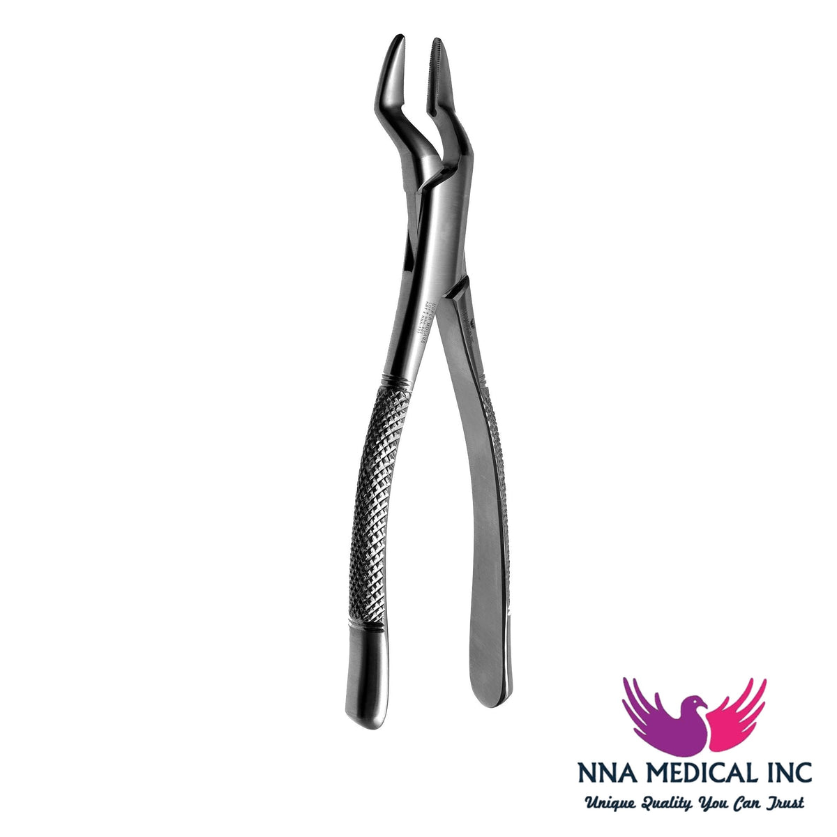 NNA MEDICAL - 32 Upper Molars & Premolars