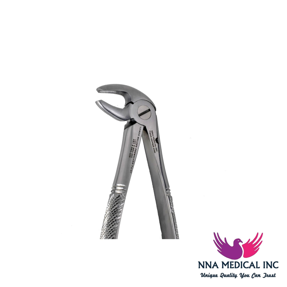 NNA MEDICAL - MD3 Lower Molars & PreMolars Point