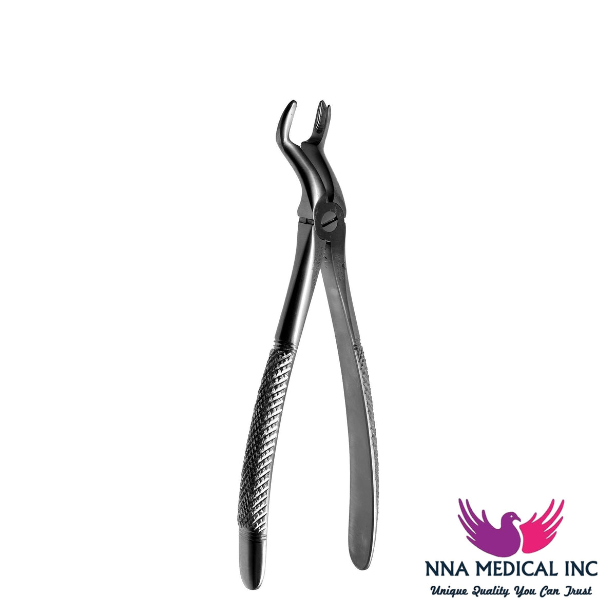 NNA MEDICAL - F12 Right Upper Molars